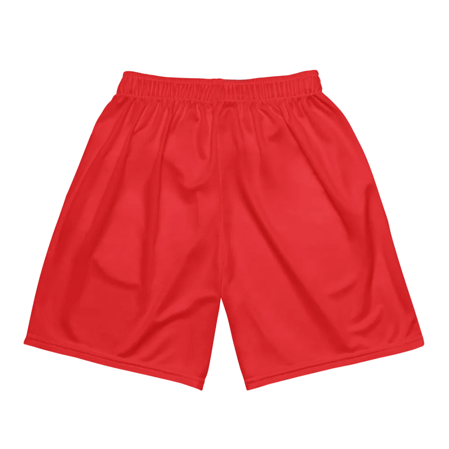 "Hoopsters Basketball" Tri-Color Athletic Shorts product image (5)