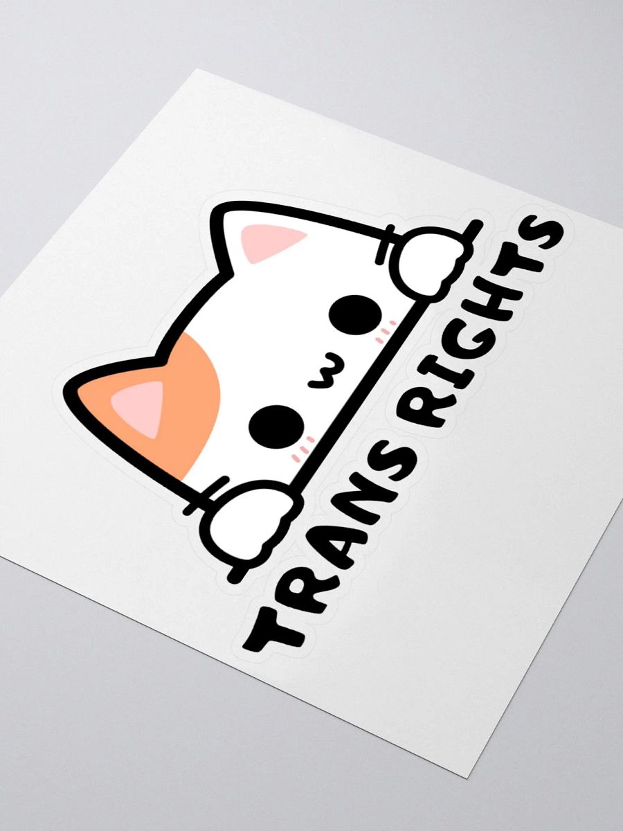 Trans Rights Cat Sticker product image (3)