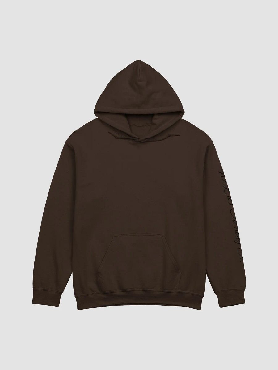 Bad Example Hoodie product image (1)