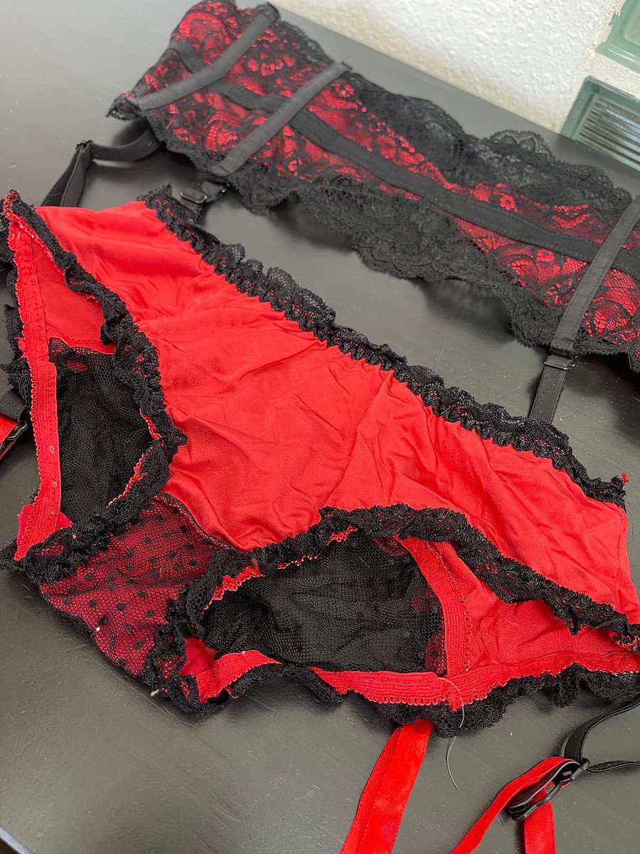 Lace, mesh, and satin Lingerie Panty and Garter Belt product image (2)