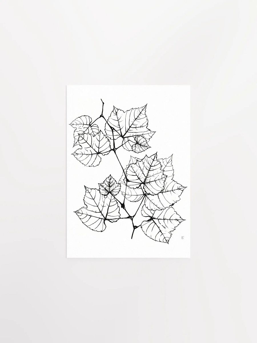 Veined Botanical Branch Matte Poster - Grape Leaves Elegant product image (1)