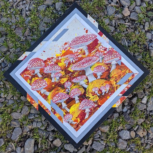 Fly Agaric (amanita muscaria) cluster 
12x12 Posca on birch
Commission (open)

#mushroom #cluster #art #artofig #artstagram #...