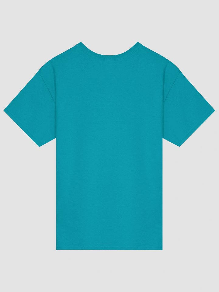 Protect Freedom From Religion - Shirt product image (2)