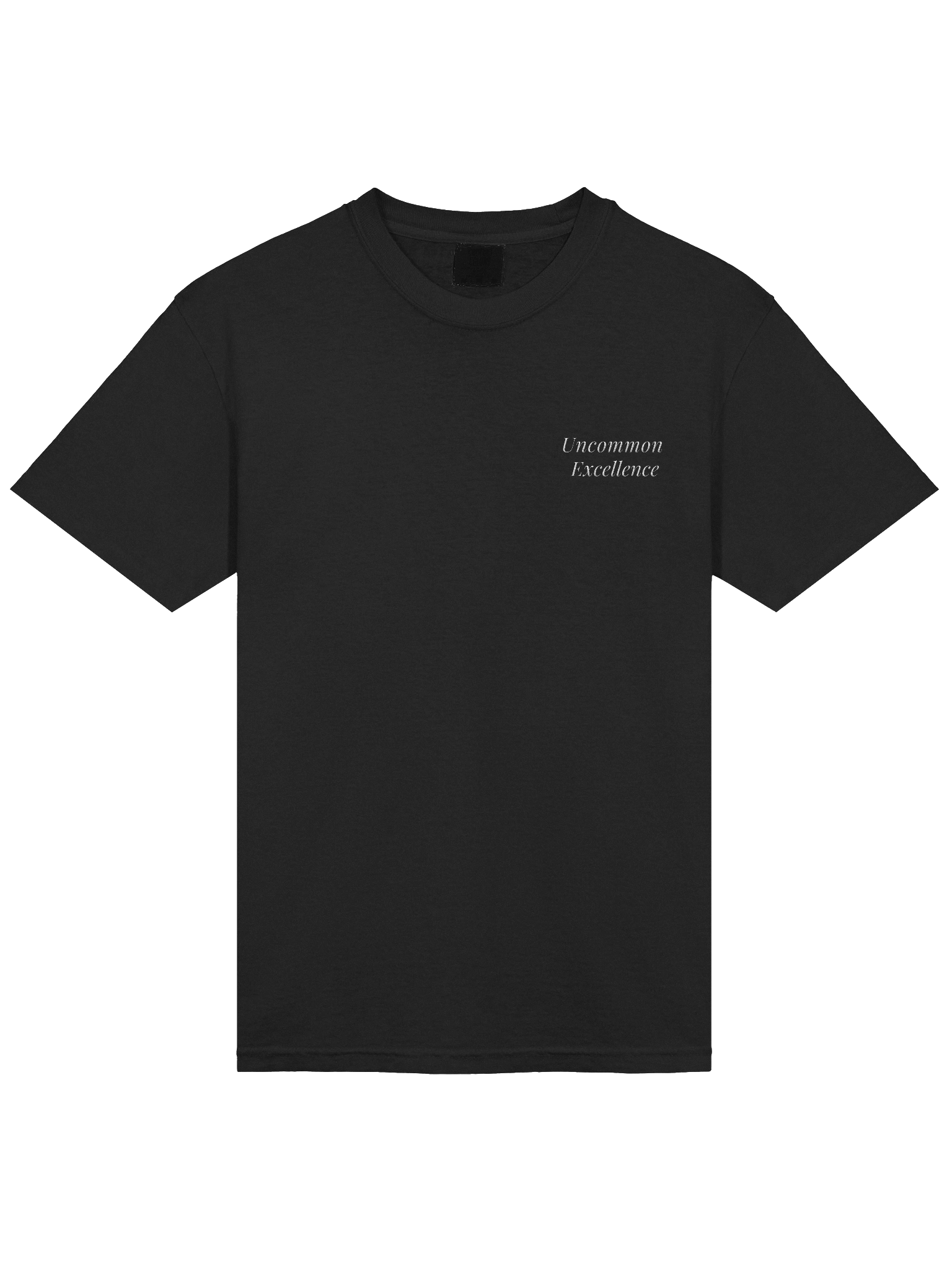 Uncommon Excellence Embroidered T-Shirt product image (1)