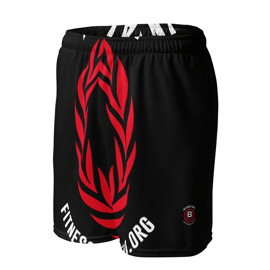 IFBNewsfeed.Org's All-Over Print Recycled Unisex Mesh Shorts product image (9)