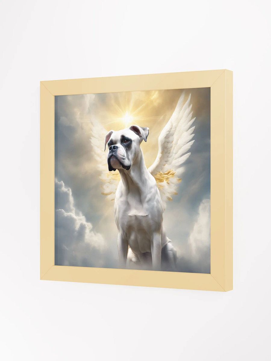 Angelic White Boxer product image (19)