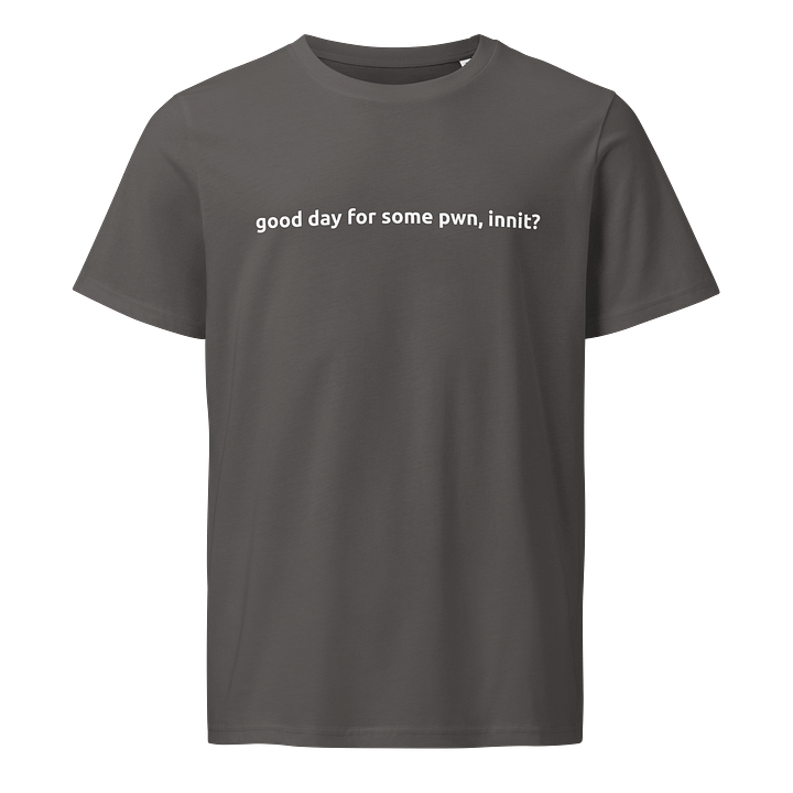 Some Pwn Tee (White) product image (9)