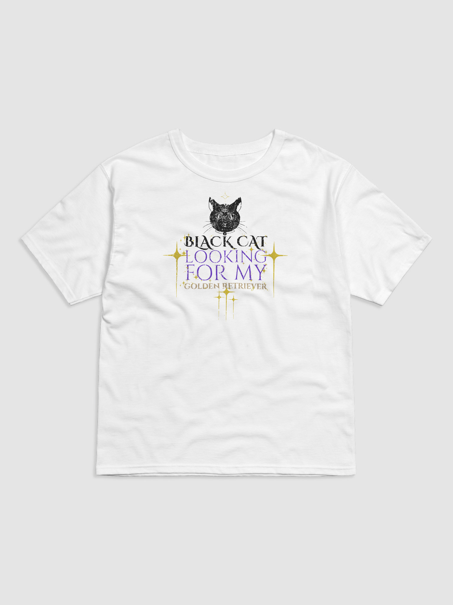 Black Cat Energy Champion T-Shirt product image (1)