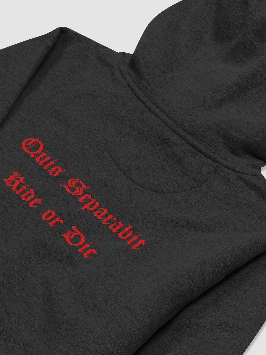 QUIS SEPARABIT product image (4)