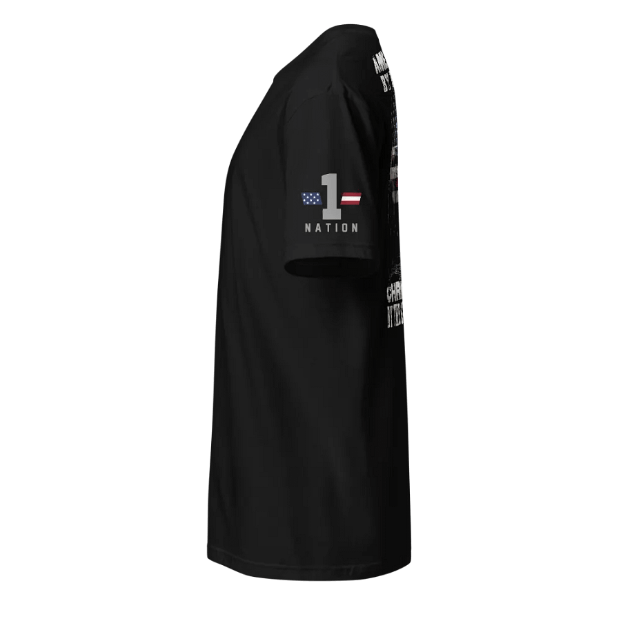 American Christian 2.0 product image (2)
