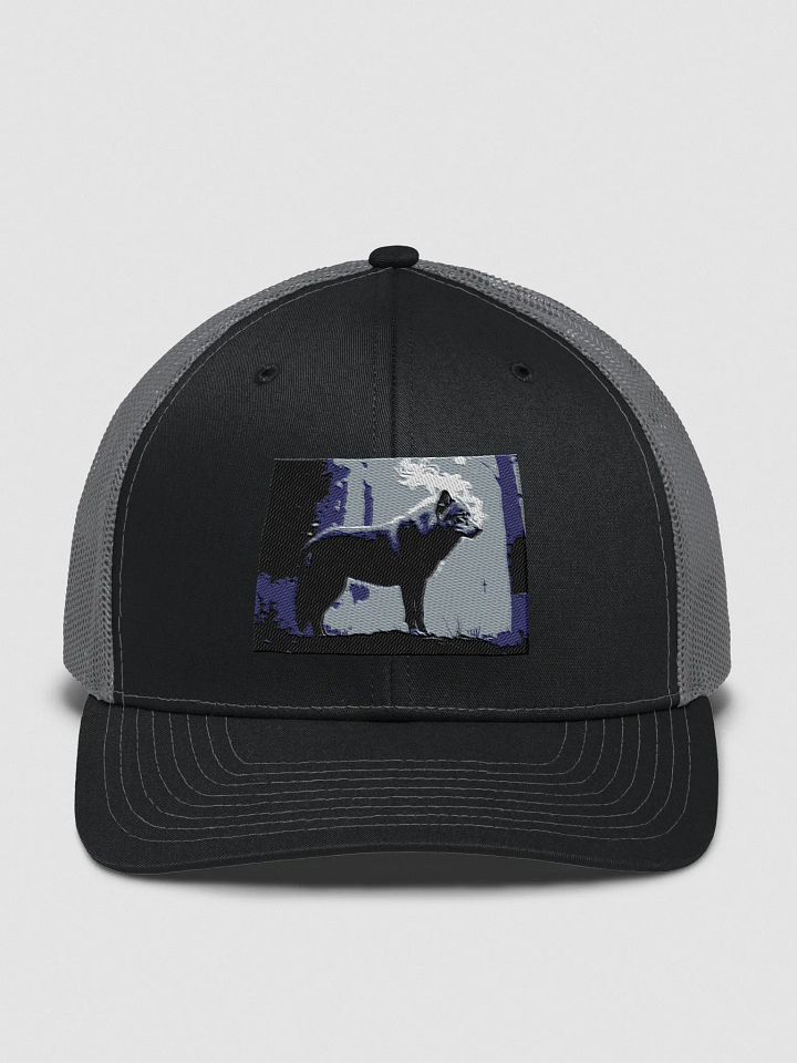 beautiful cap with a wolf logo product image (1)