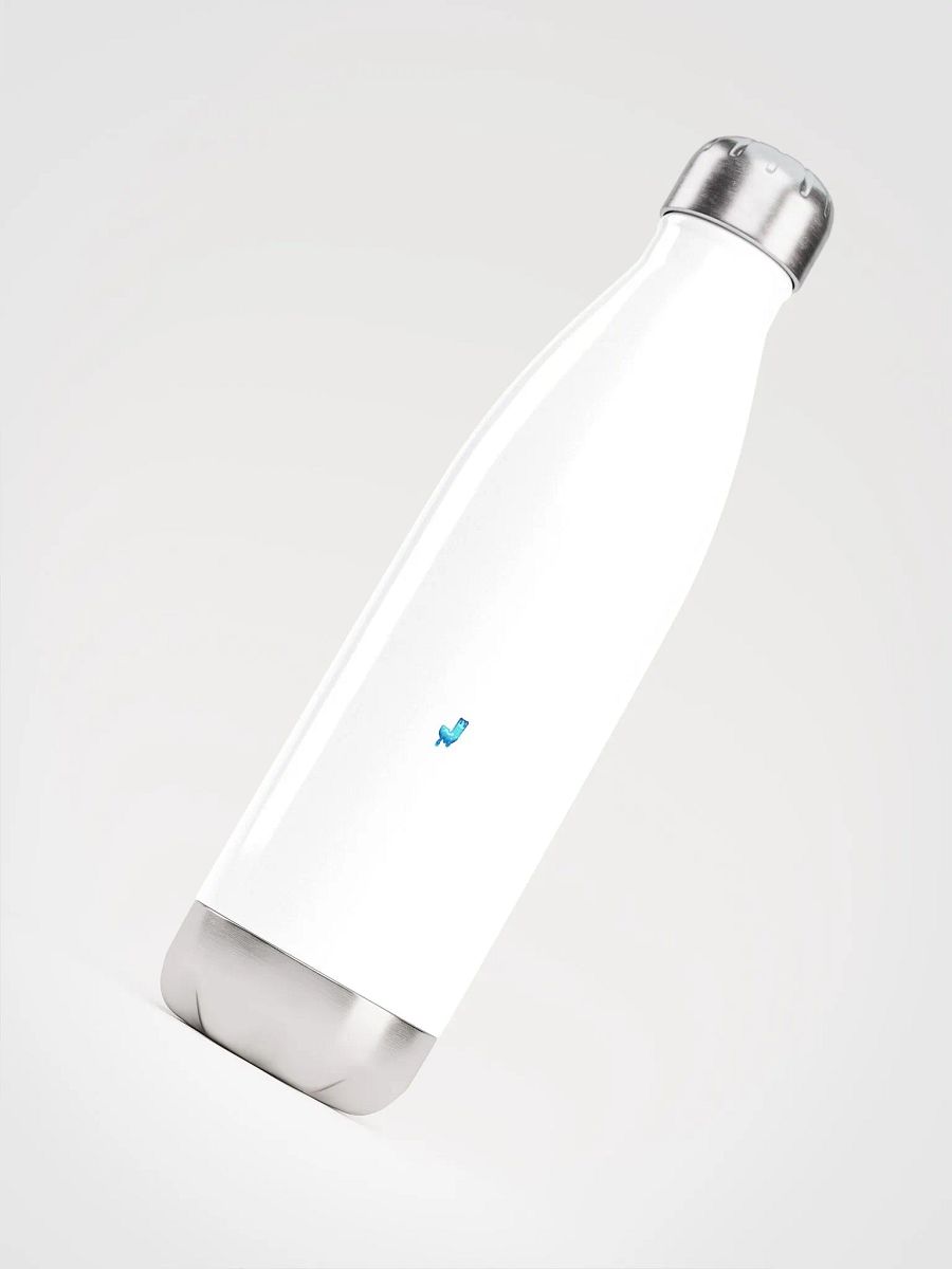 Insulated Stainless Steel Water Bottle product image (4)