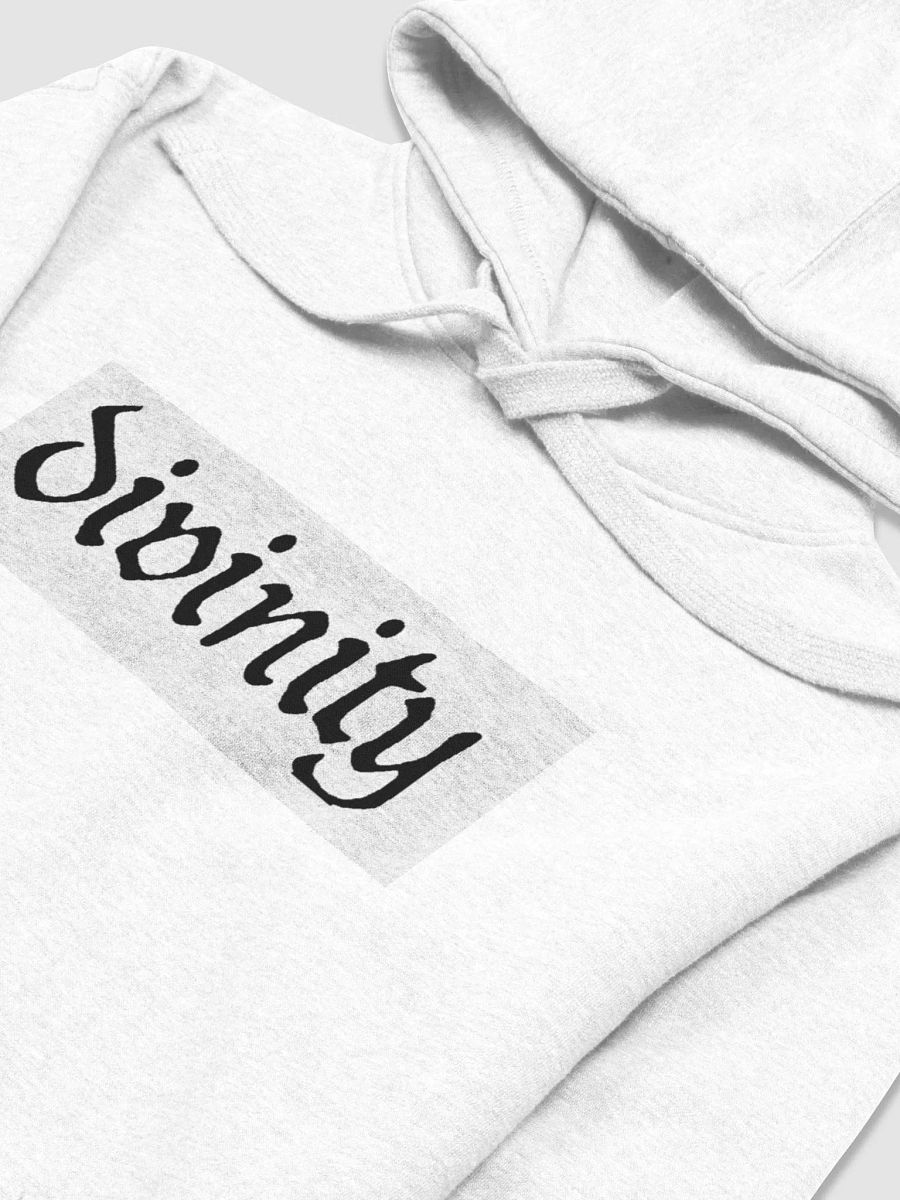 divinity white logo hoodie product image (3)