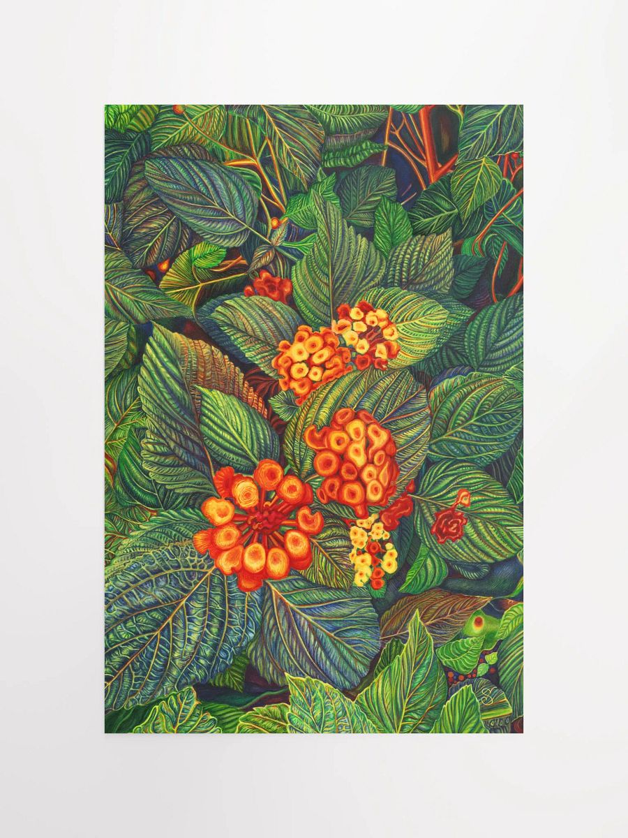 Vibrant Matte Poster Print - Bright Orange Flowers product image (4)