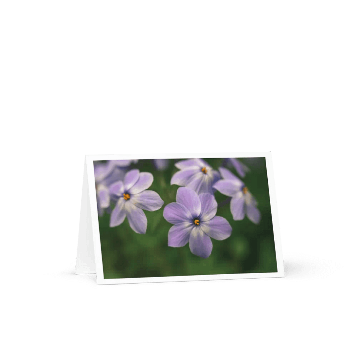 Dreamy Phlox with Border Notecard product image (4)