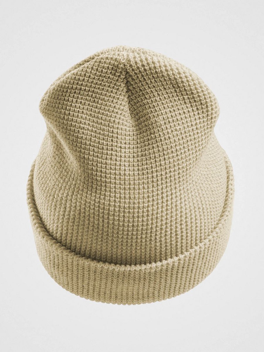 LIMITED EDITION - The Champion Beanie product image (4)