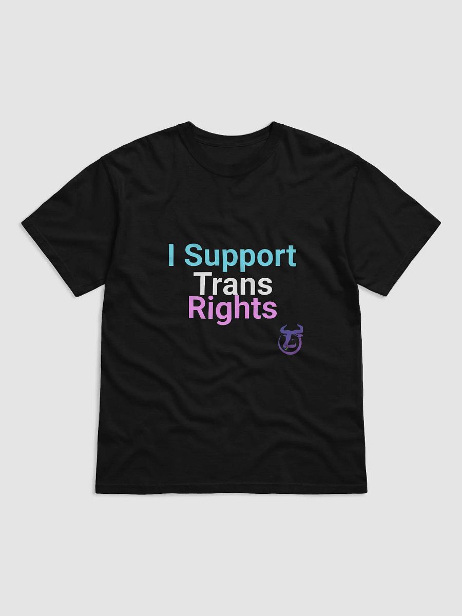 I Support Trans Rights T-Shirt product image (2)