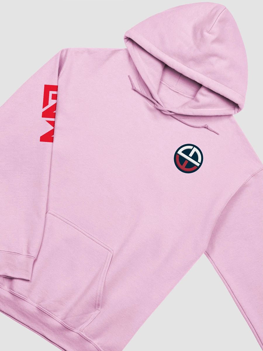 LNW Classic Hoodies product image (4)