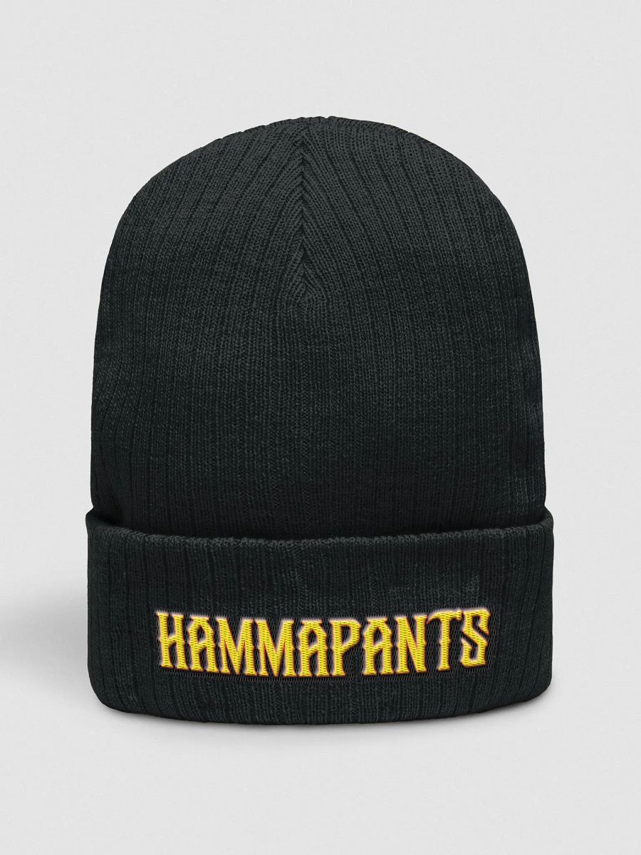 Hammapants Beanie Fitted product image (1)