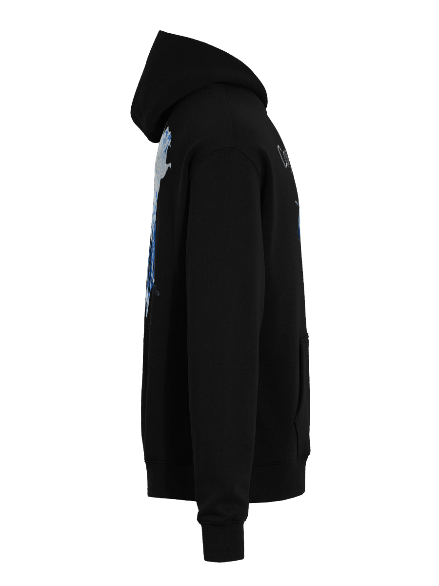 Copium Poppies - Dead Fly Hoodie product image (8)