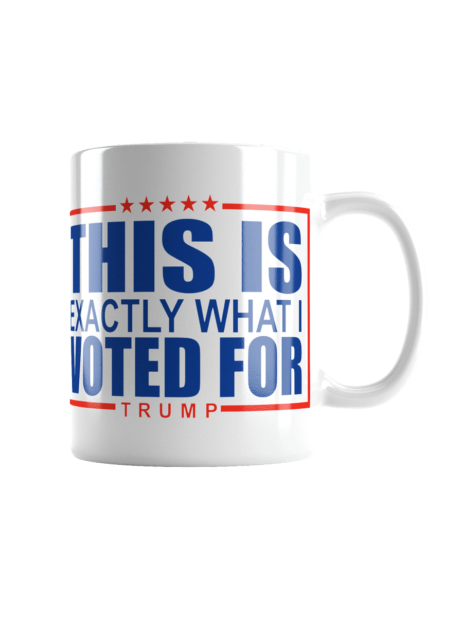 This Is What I Voted For Mug product image (4)