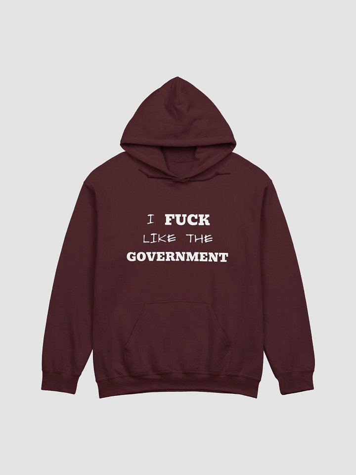 LIKE THE GOVERNMENT Hoodie product image (2)