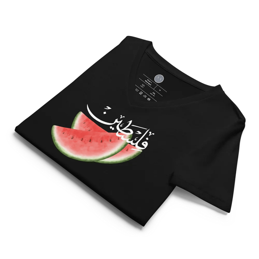 Watermelon Fitted V-Neck product image (44)
