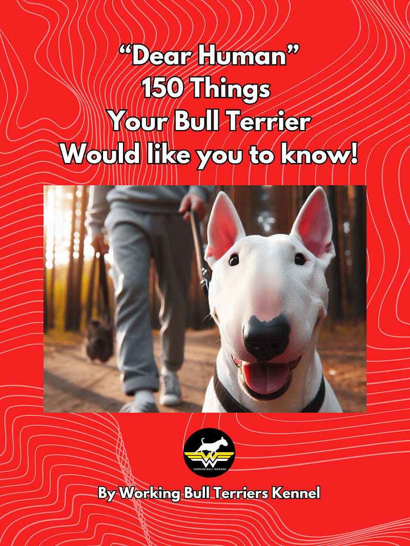 Dear Human: 150 Things Your Bull Terrier Would Like You to Know