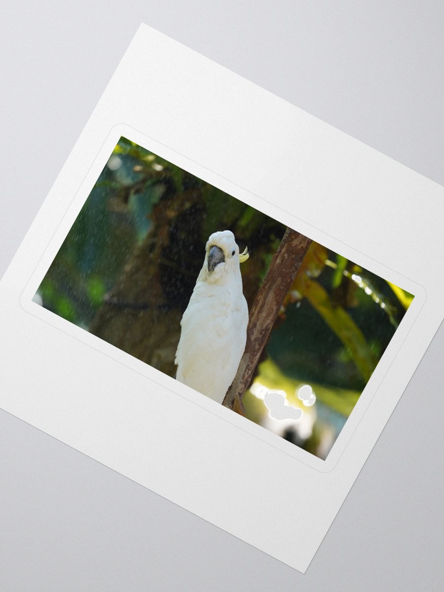 Crested Parrot Kiss Cut Stickers product image (2)