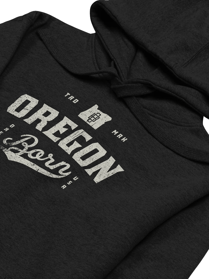 Oregon Born Vintage Collegiate Hoodie product image (2)