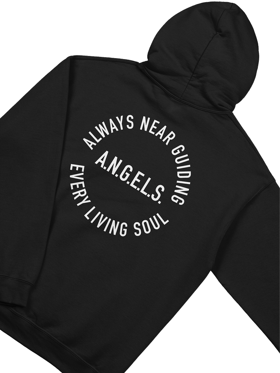 A.N.G.E.L.S. Hoodie product image (3)