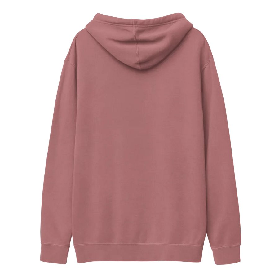 wmt rtd embroidered hoodie product image (83)