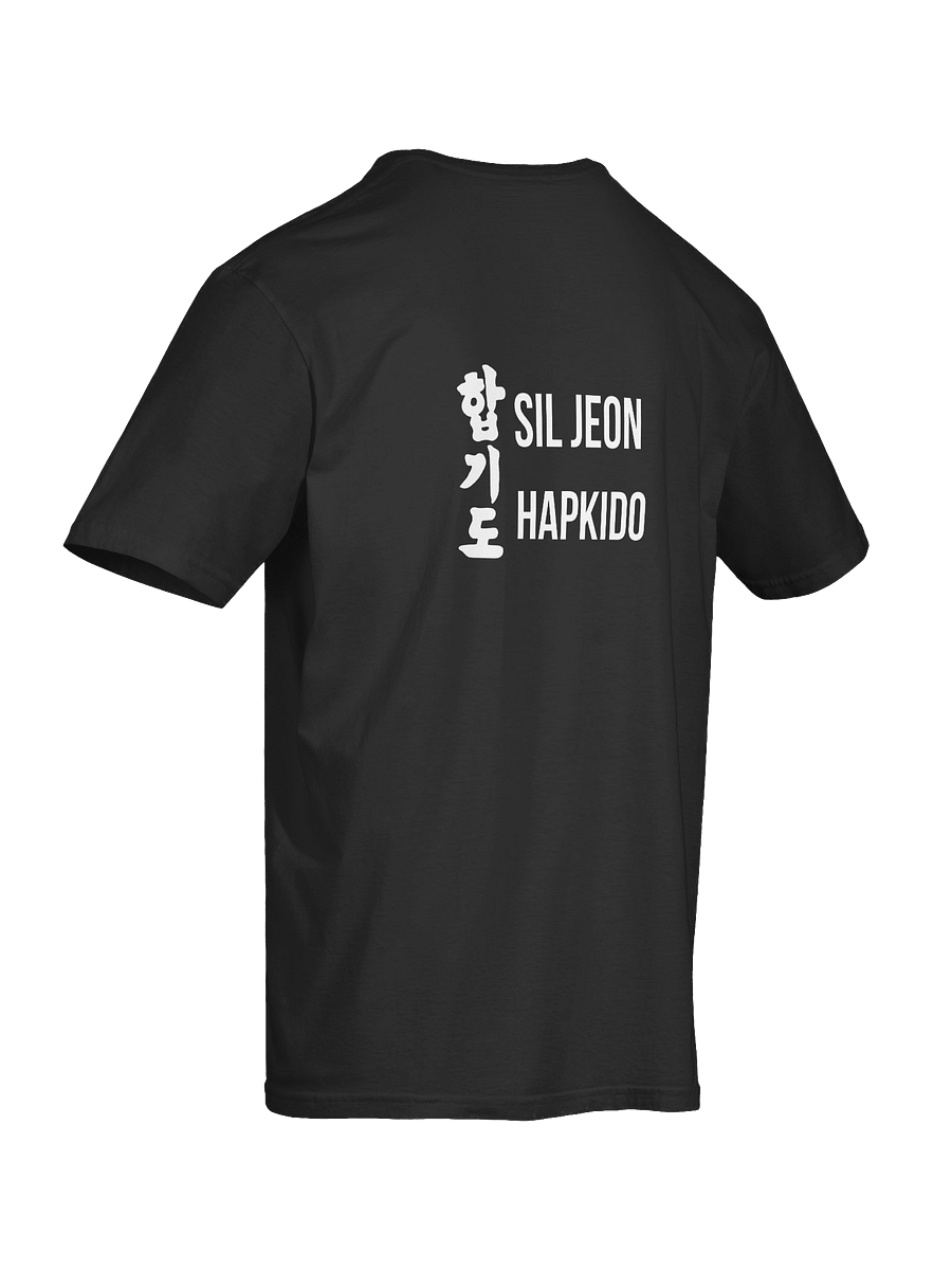 SilJeon Hapkido Organization Shirt! product image (6)
