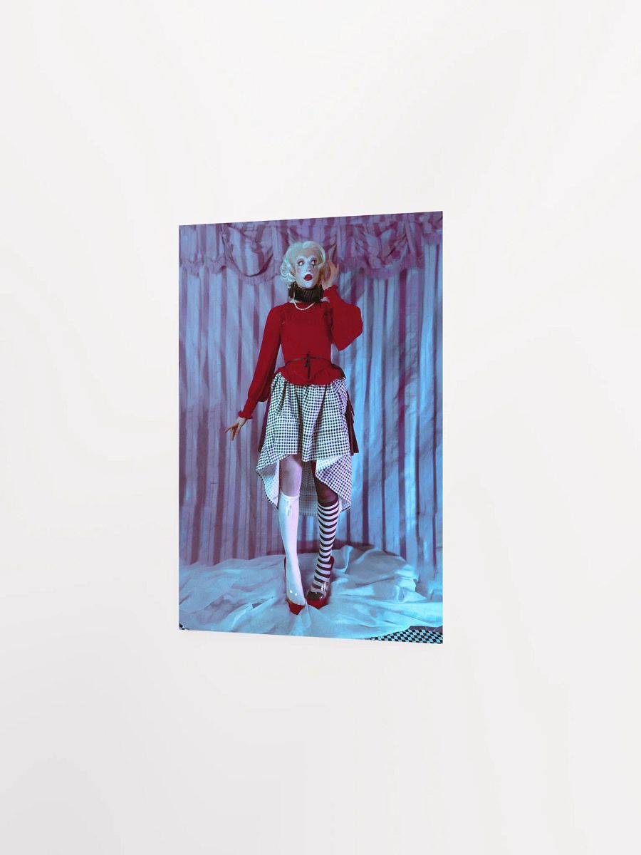 Red's Circus | The Harlequin product image (4)
