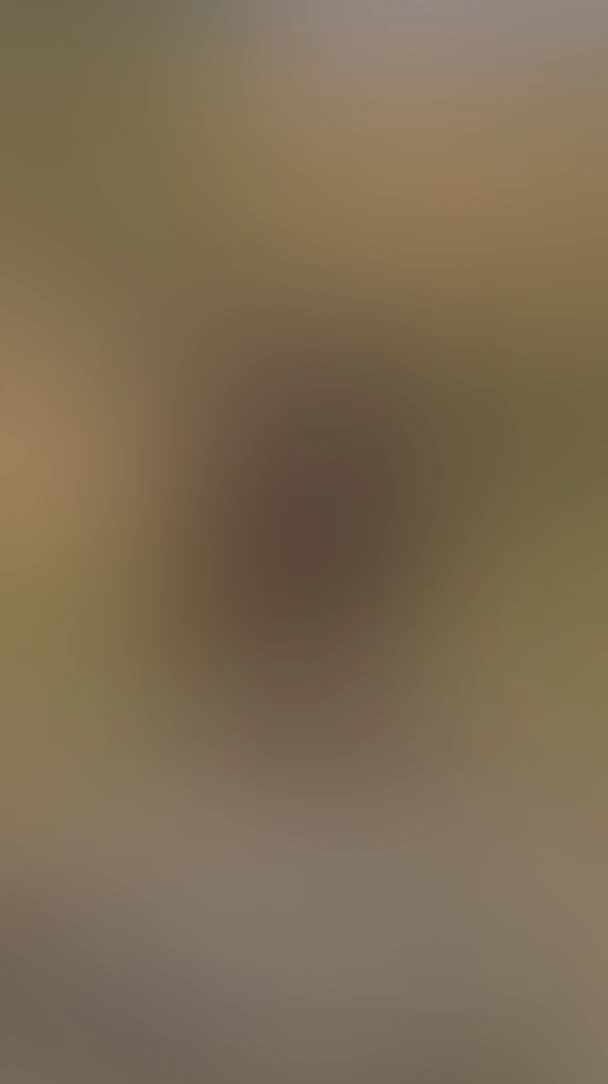 Video thumbnail background