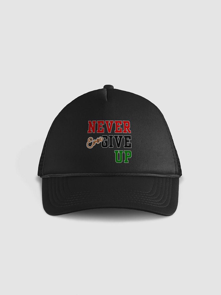 Never Ever Give Up product image (1)