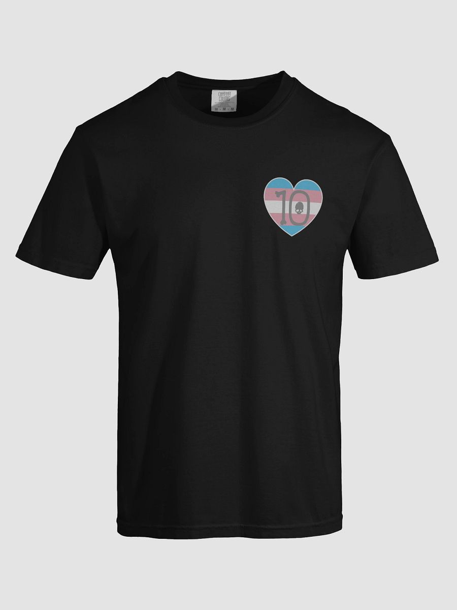 Trans Pride - Rule 10 T-Shirt product image (42)