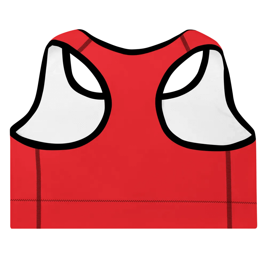 Crimson Comfort Padded Sports Bra product image (4)