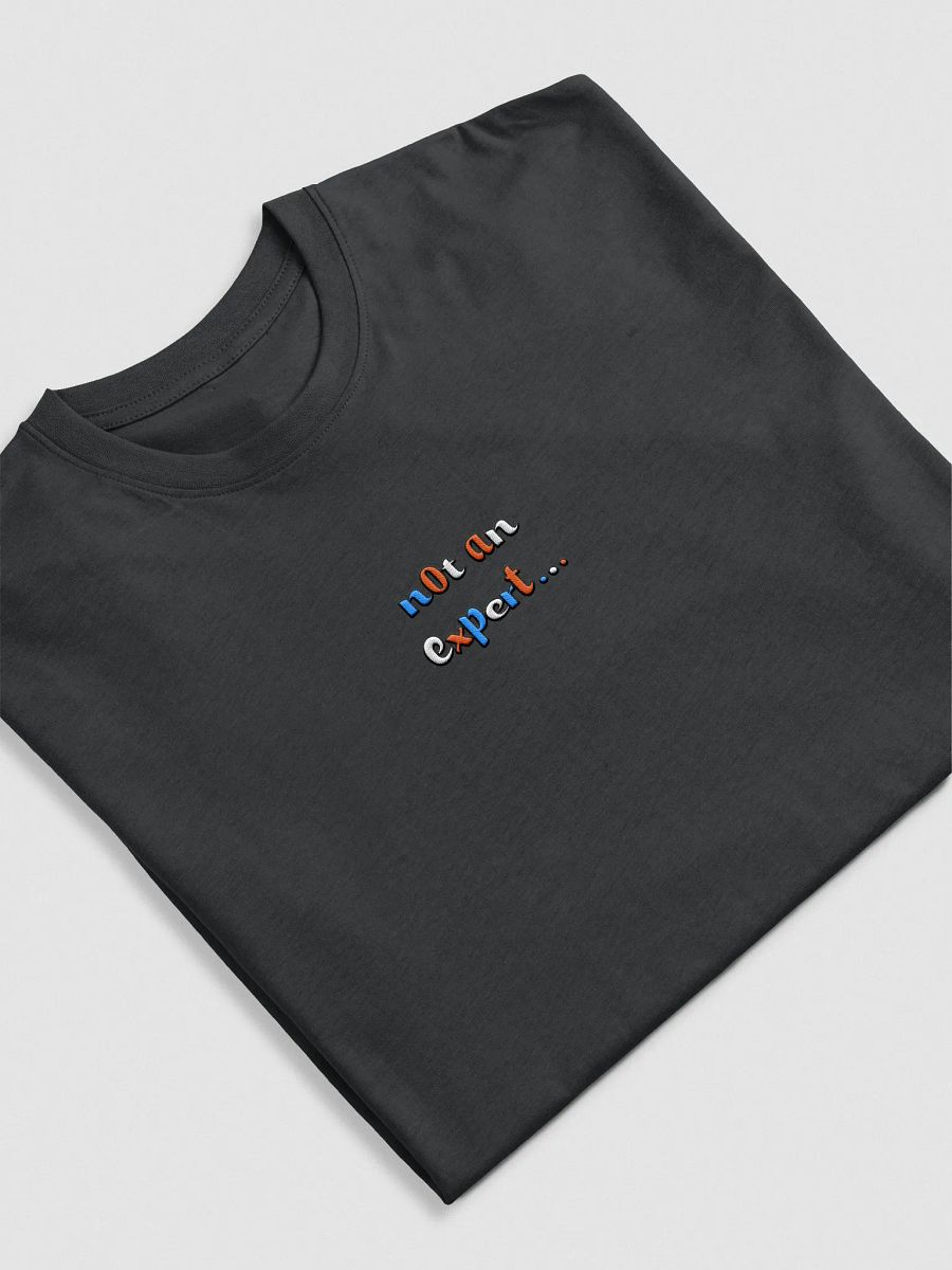 "not an expert..." Official colour Heavyweight Tee product image (3)