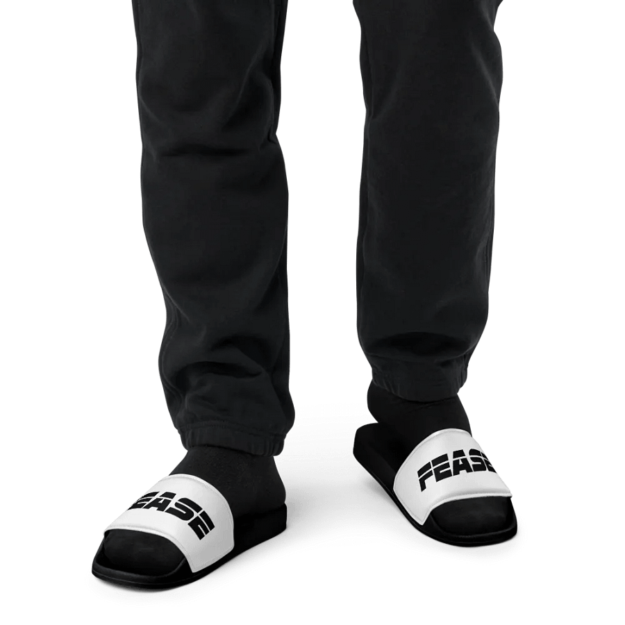 Feasy Slides product image (12)