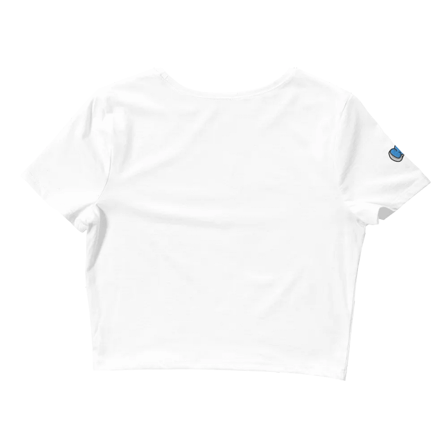 Hippie House Club x Bella+Canvas Crop Top Stitched product image (13)
