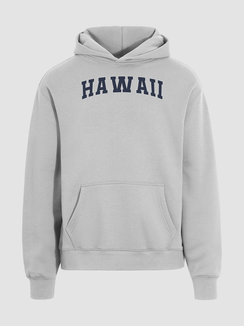 Hawaii Vintage Stylish Unisex Premium Oversized Hoodie