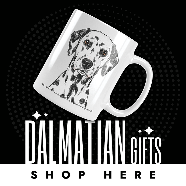 DALMATIAN DOG