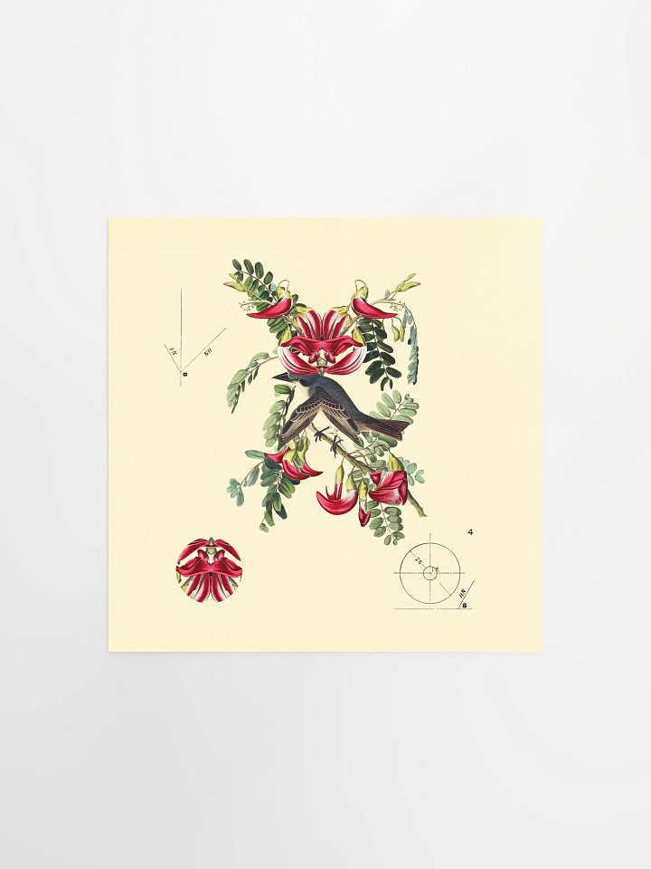 Bird Botanical Dadaism Poster product image (2)