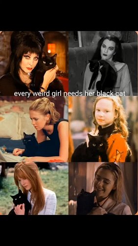 #catsoftiktok #kitty #blackcat #morticia #witchywoman