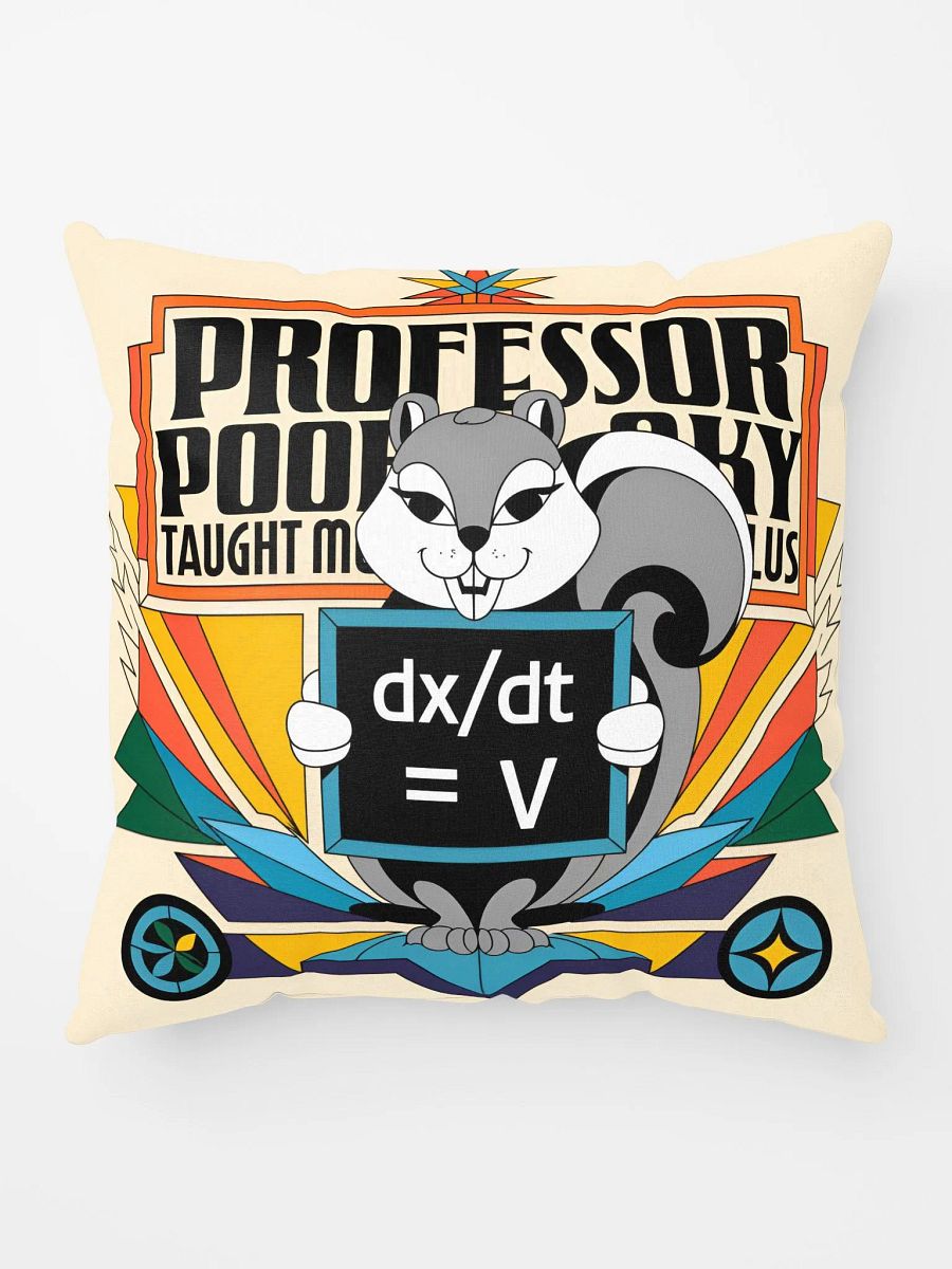 Comfy Pillow: Prof Pooky Taught Me calculus product image (10)