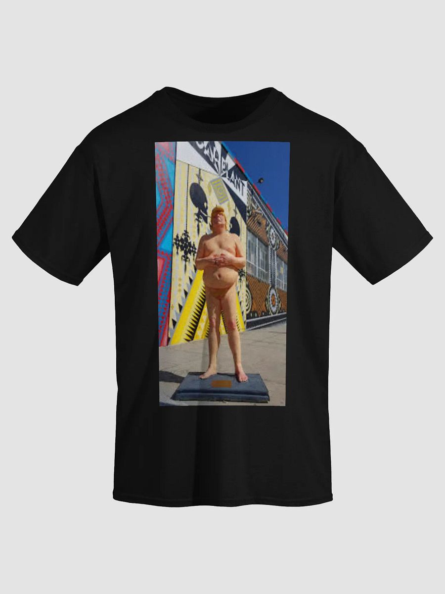 DONALD TRUMP MAKE AMERICA GREAT AGAIN product image (3)