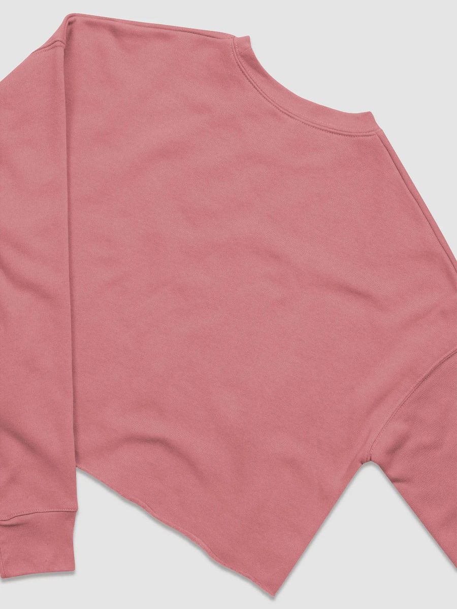 Save Our Veterans Crop Sweatshirt product image (17)