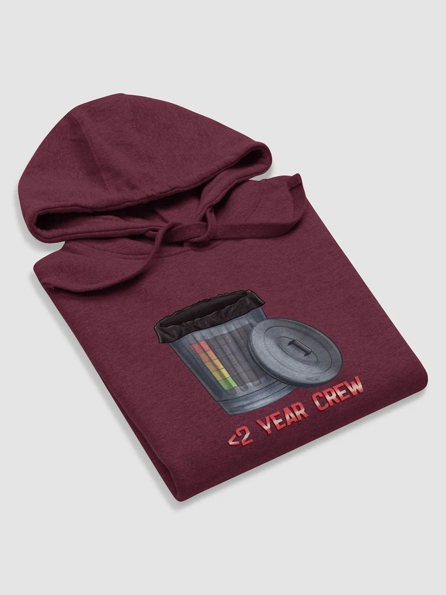Less Than 2 Year Bin 'Em Hoodie Premium product image (1)