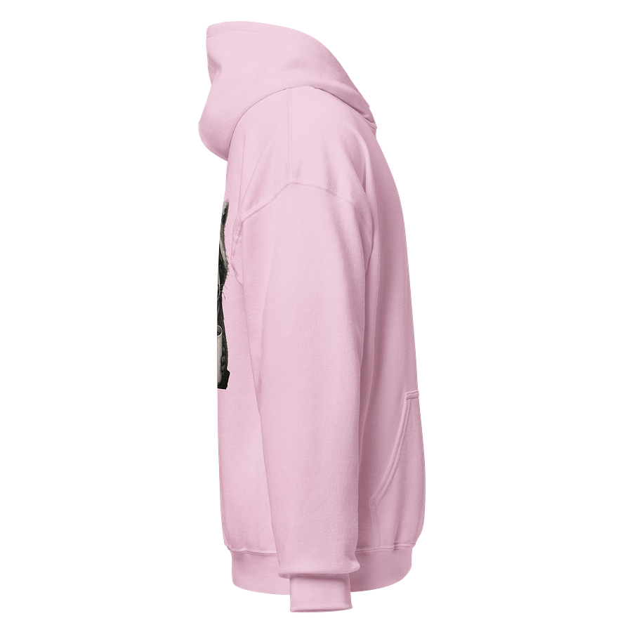 Hendrik Sad Raccoon Coffee Hoodie product image (4)